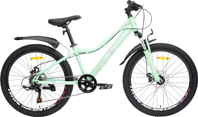 Купить TECH TEAM Aria 24 disc 2024