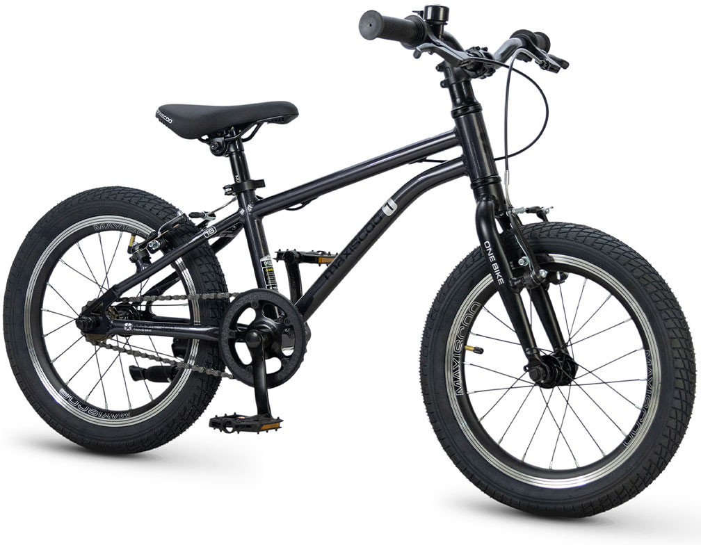 Купить MAXISCOO 1Bike 16 2026
