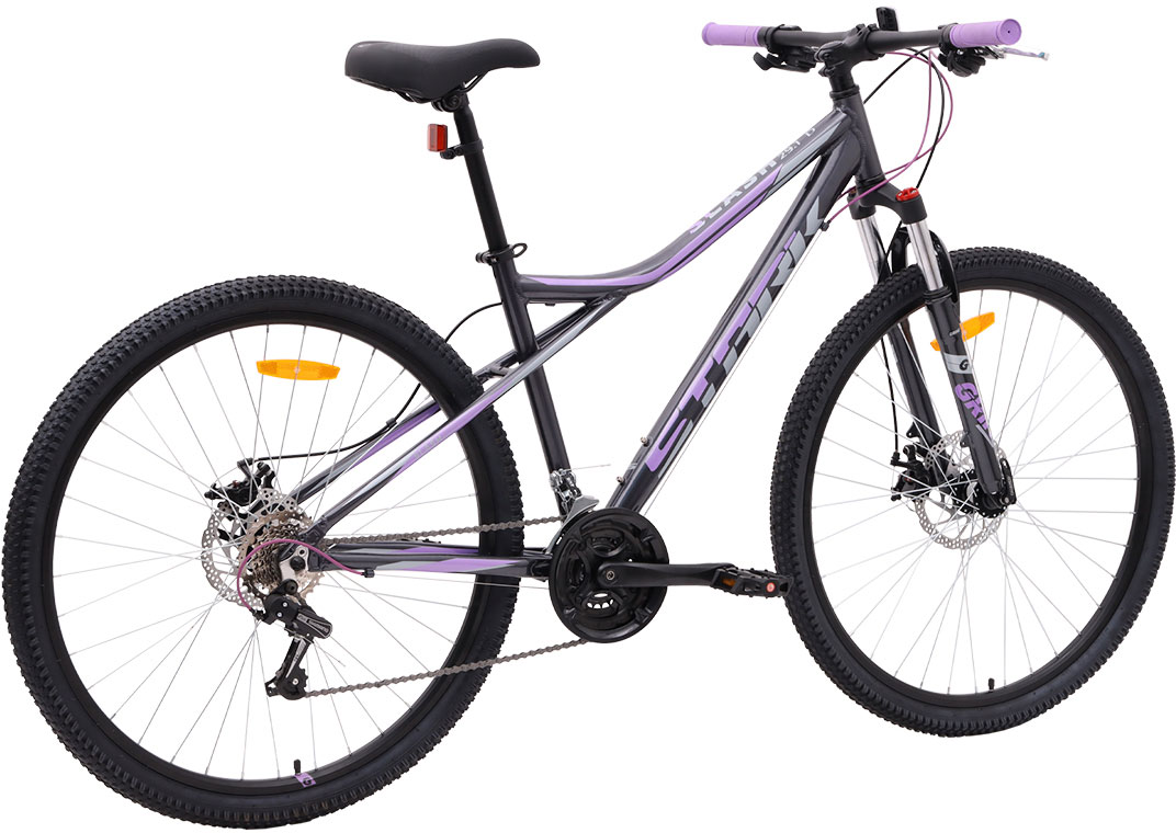 Купить STARK Slash 29.1 D 2024