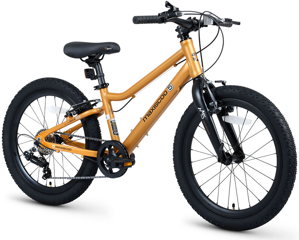 Купить MAXISCOO 5Bike 20 2026