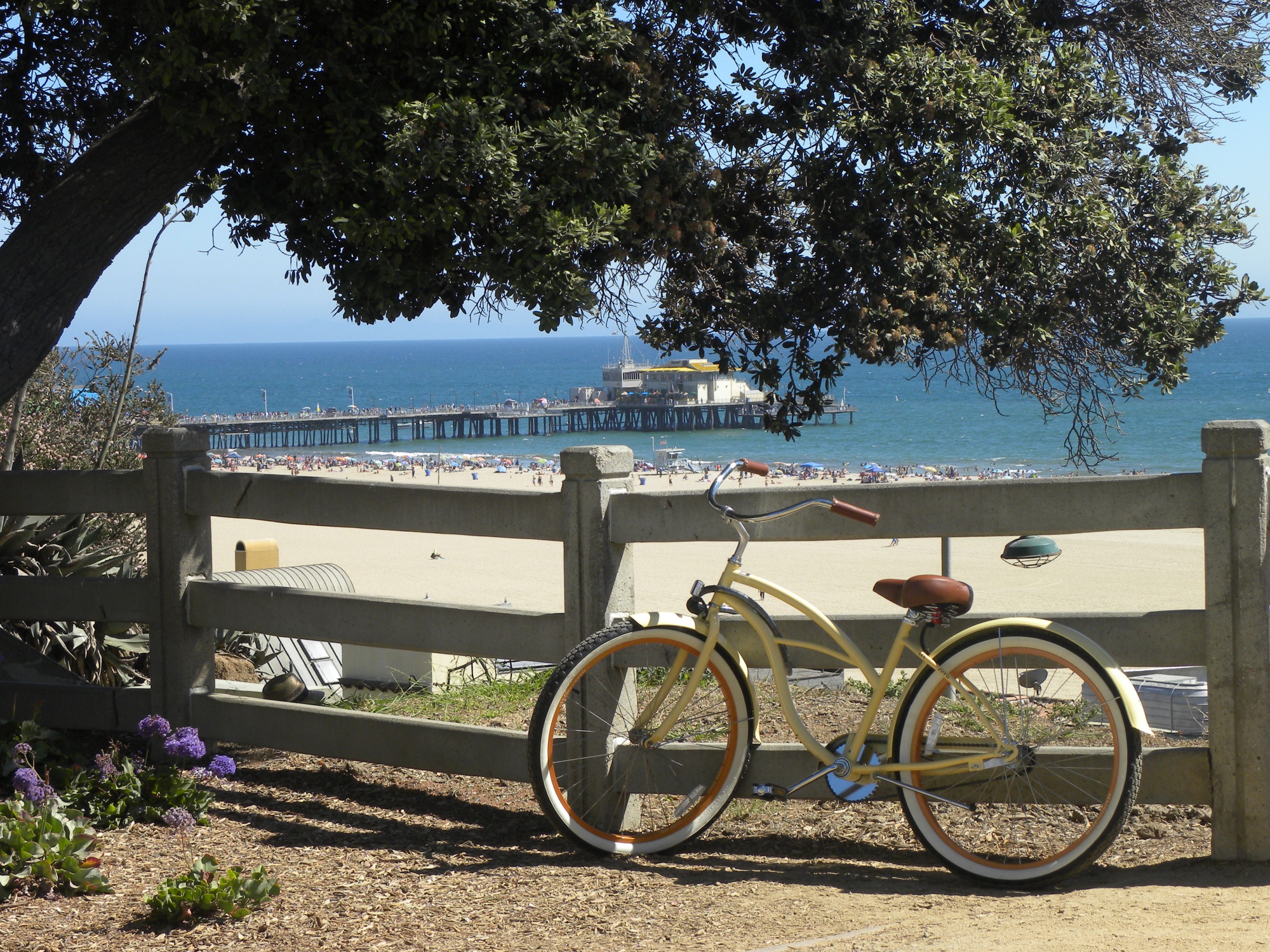 beach-cruiser1.jpg beach-cruiser1.jpg