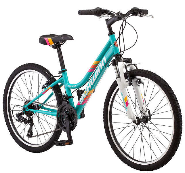 Купить SCHWINN High Timber 24 Girl 2019