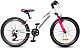 Купить HORST Fancy 24 2022